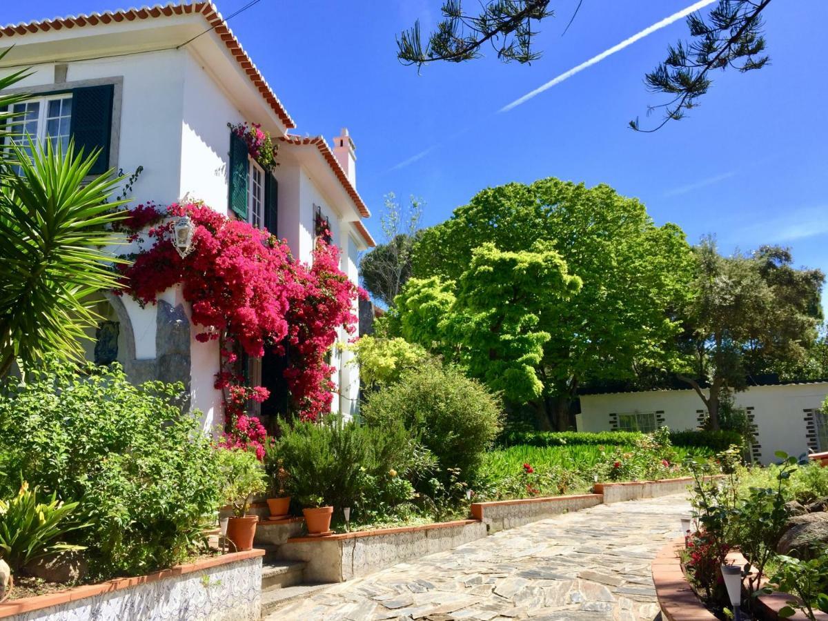 Cascais Seaside Garden Villa ภายนอก รูปภาพ